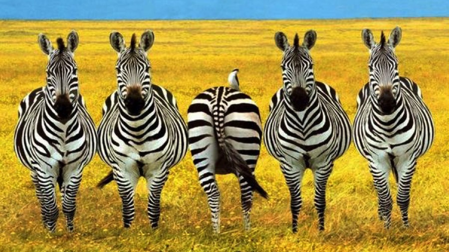 egyeniseg-kekneveles