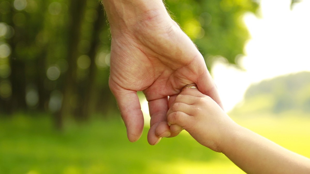 Hogy hatalmaz fel bennünket a nevelésre a gyerekünk&nbsp;kötődése?