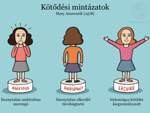 kotodesi-mintazatok-kek-neveles