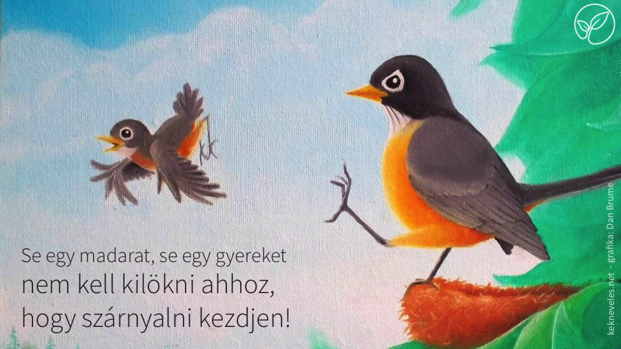 nem-kell-kirugni-kekneveles