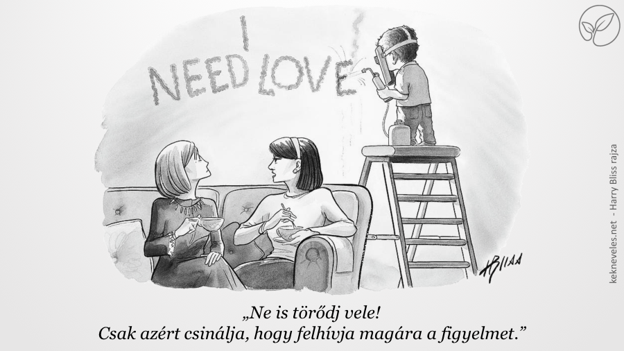 figyelemfelkeltes-kotodo-ehseg-kekneveles