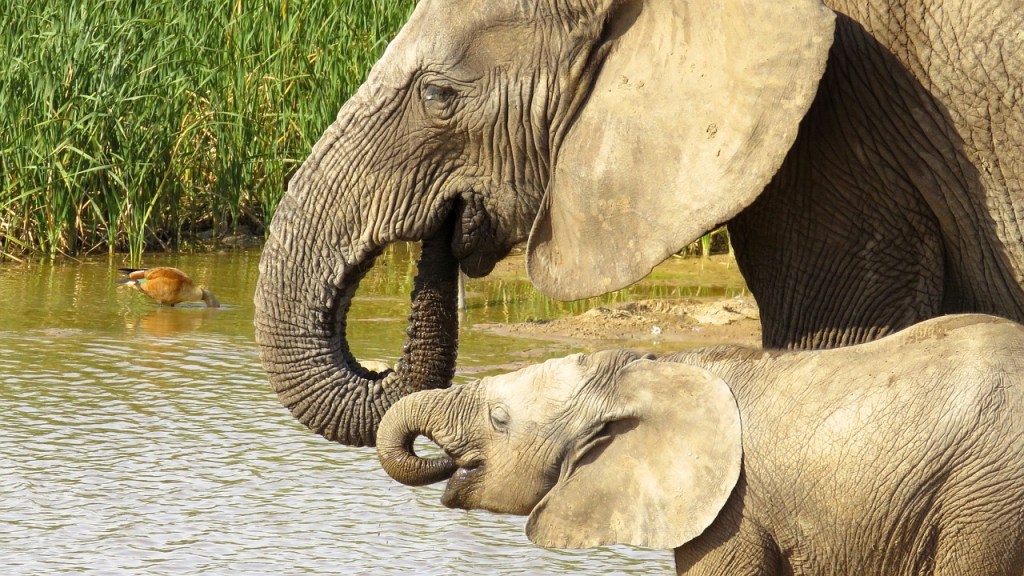 Mi foglaljuk el a vezető helyét!