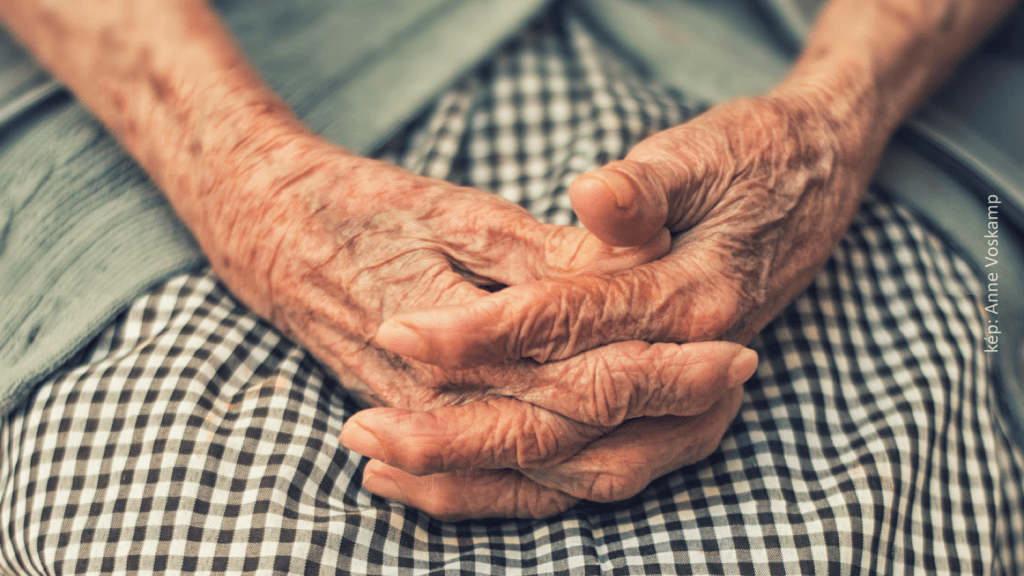 Az értelmes élet luxusa