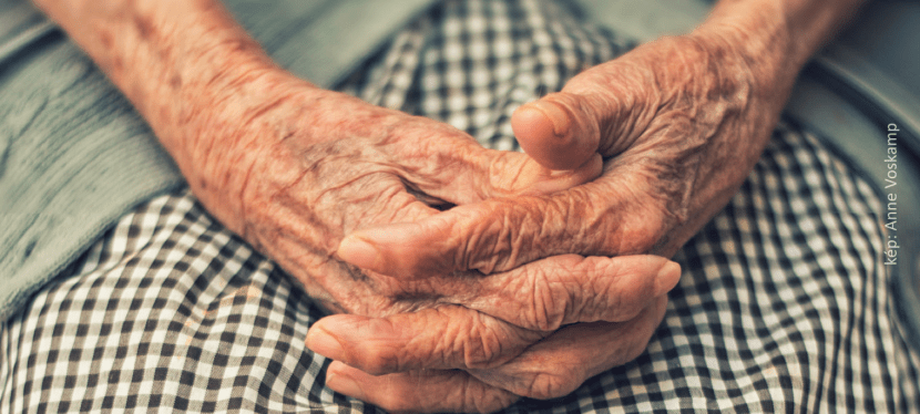 Az értelmes élet luxusa