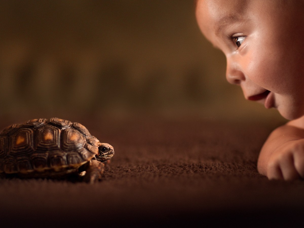 Aki vállalkozószellemű: elindul és meg akarja&nbsp;csinálni