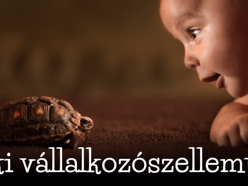 Aki vállalkozószellemű: elindul és meg akarja&nbsp;csinálni