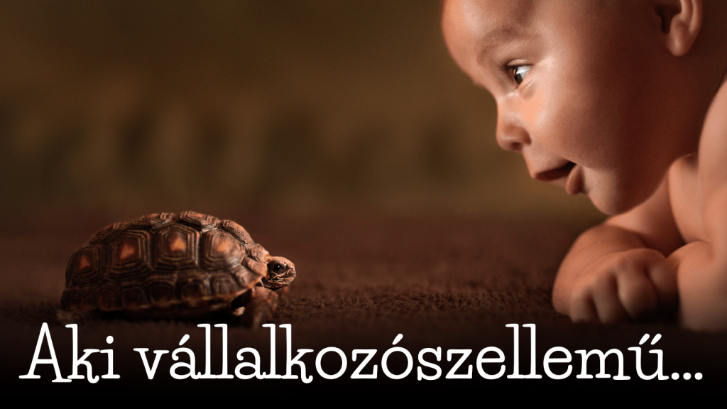 Aki vállalkozószellemű: elindul és meg akarja csinálni