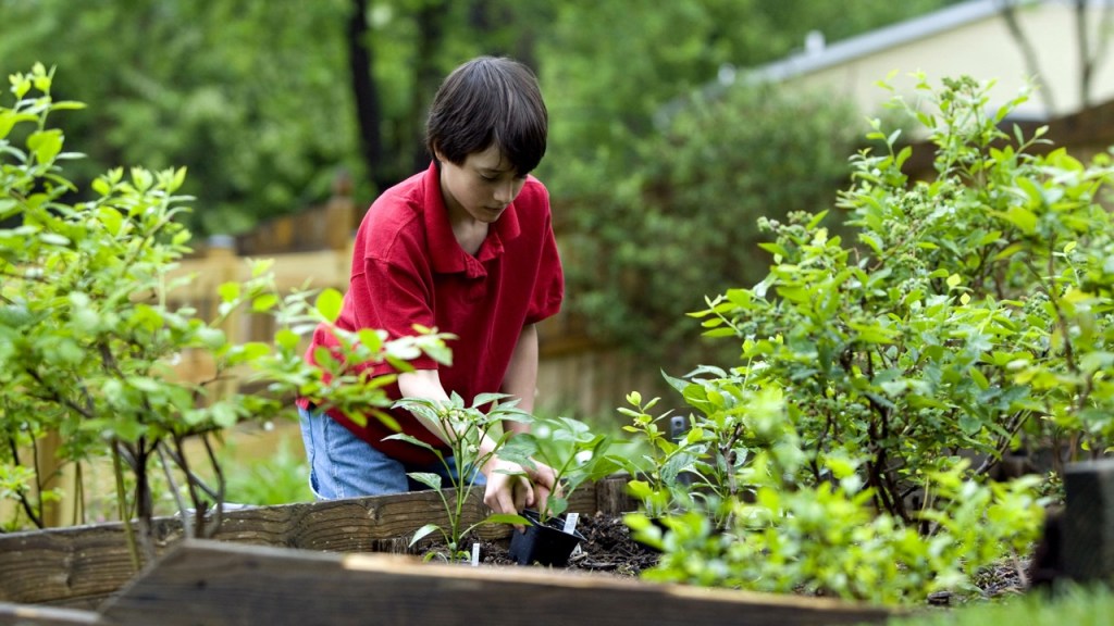 Bízzunk rá felelősséget!