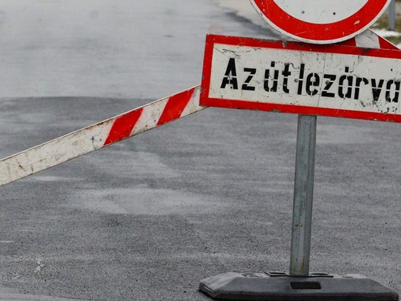 Adaptálódás: az érés könnyes&nbsp;útja