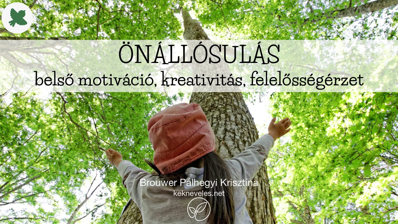 II-3-00-onallosulas-kekneveles