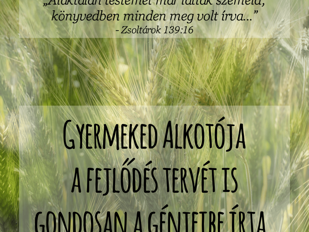 Nem csak rajtad múlik, hogy milyen valakivé nő fel a&nbsp;gyermeked