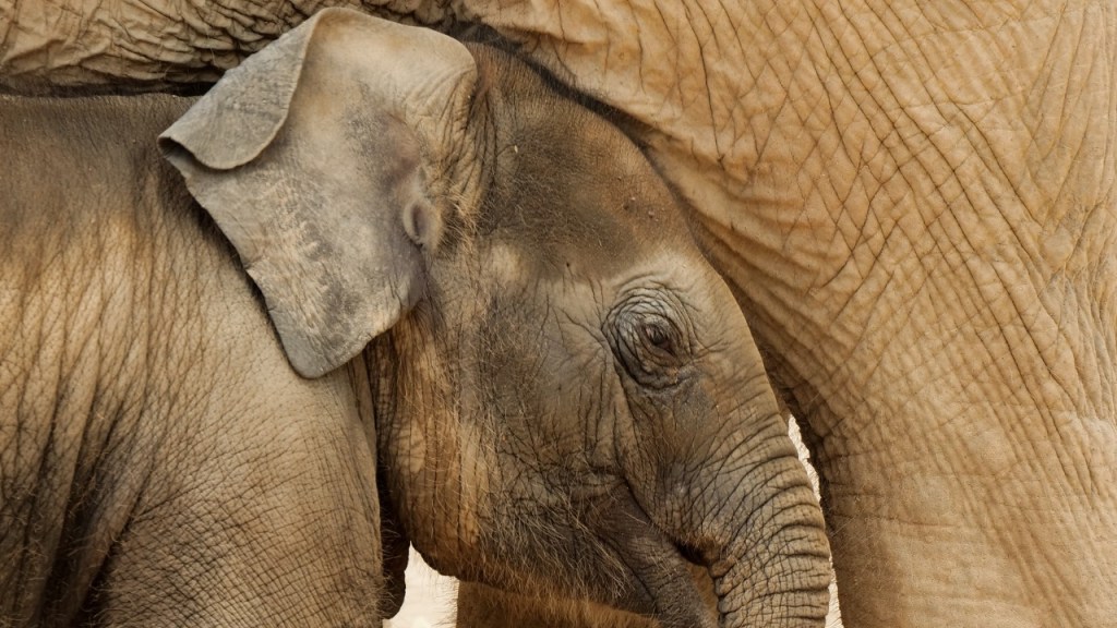 Miért annyira fontos a kapcsolat?