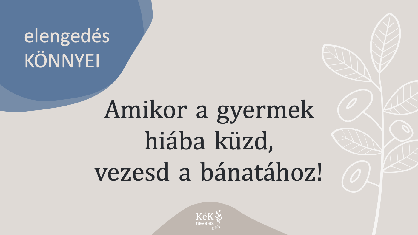Adaptálódás: elengedés könnyei
Amikor a gyermek hiába küzd, vezesd a bánatához!