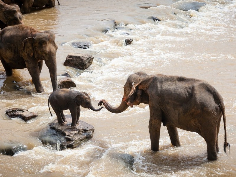 A fegyelmezés arra a gyerekre hat, aki kötődik az érte felelős&nbsp;felnőttekhez