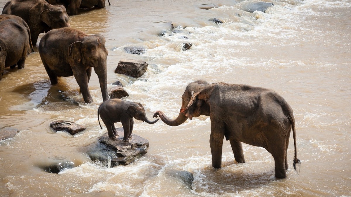 A fegyelmezés arra a gyerekre hat, aki kötődik az érte felelős&nbsp;felnőttekhez