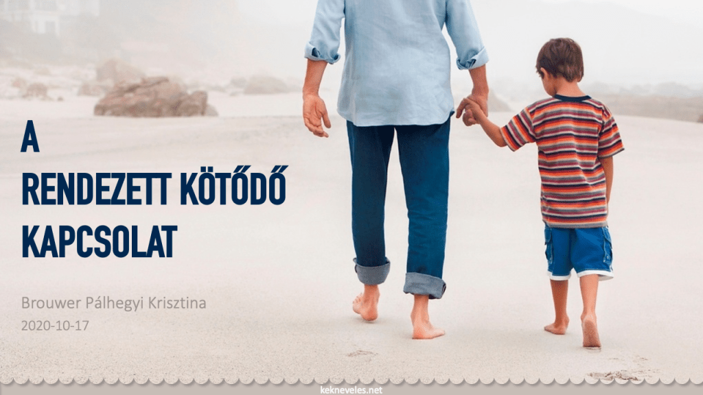 Videó: A rendezett kötődő kapcsolat