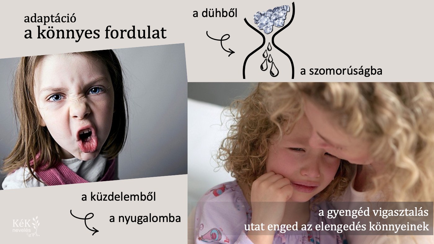 adaptáció: a könnyes fordulat
a dühből a szomorúságba
a küzdelemből a nyugalomba
a gyengéd vigasztalás utat enged az elengedés könnyeinek.