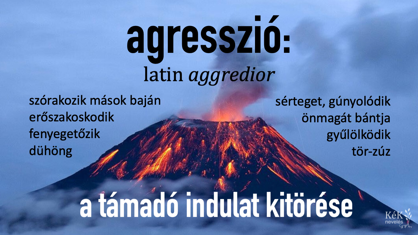 aggresszió (aggredior)
szórakozik mások baján, erőszakoskodik, fenyegetőzik, dühöng, sérteget, gúnyolódik, önmagát bántja gyűlölködik, tör-zúz