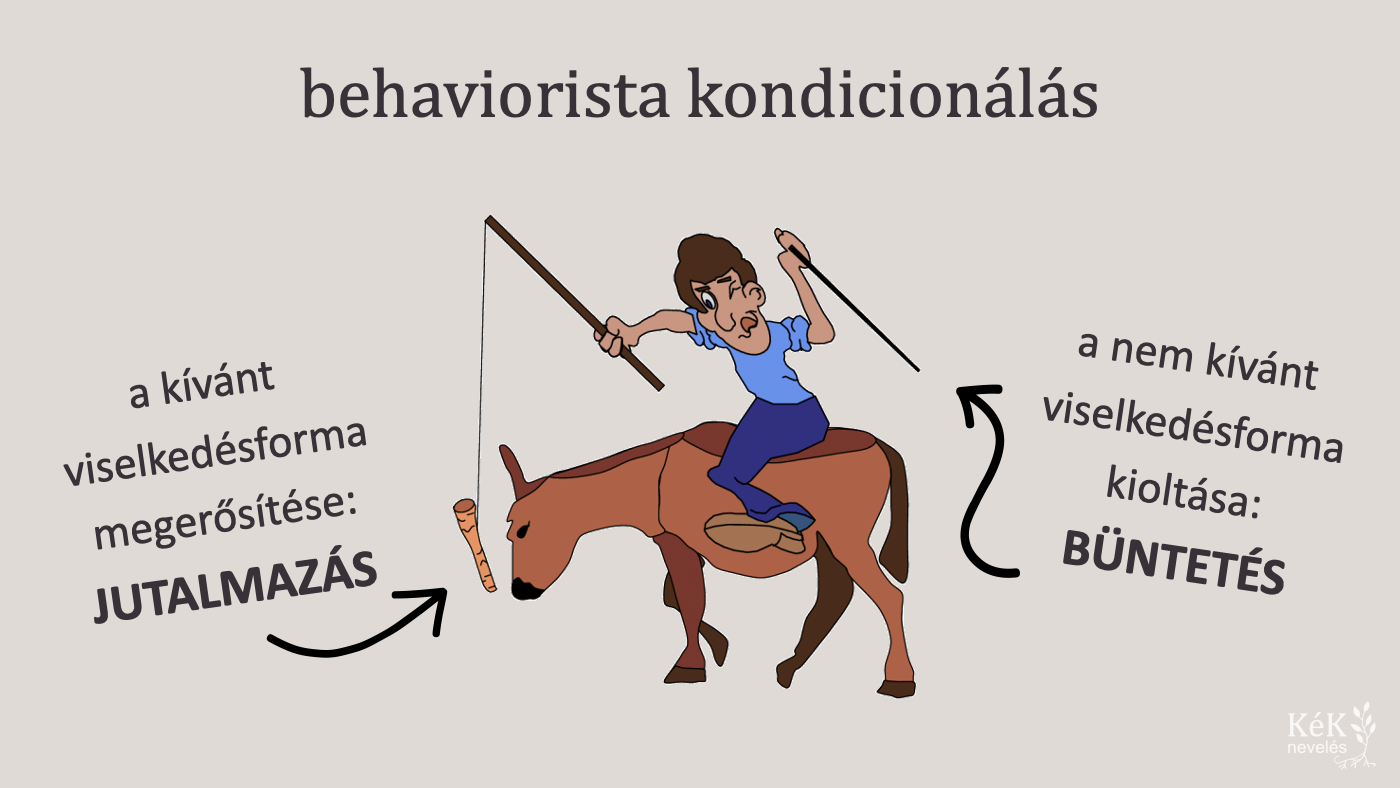 behaviorista kondicionálás
jutalmazás: a kívánt viselkedésforma megerősítése
büntetés: a nem kívánt viselkedésforma kioltása