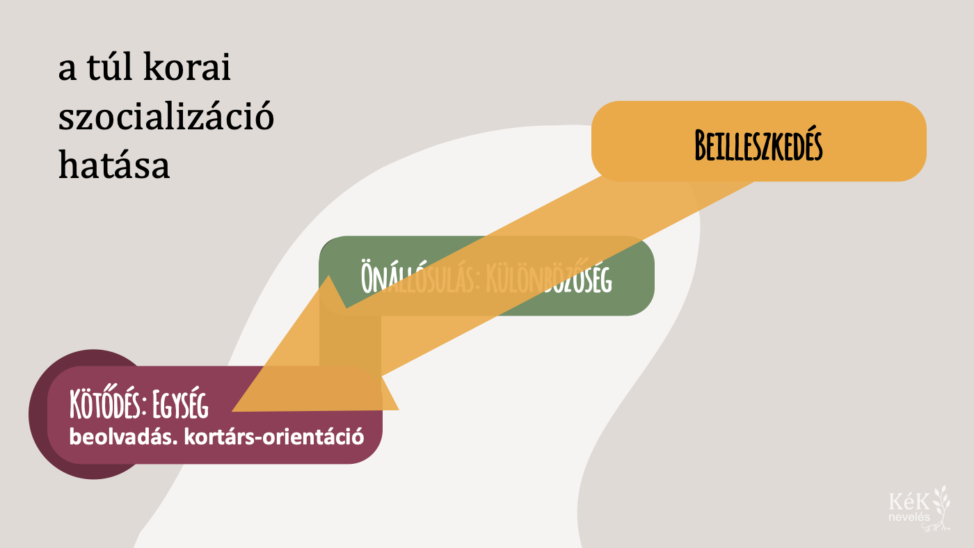 A túl korai szocializáció hatása: beilleszkedés, beolvadás, kortárs-orientáció.