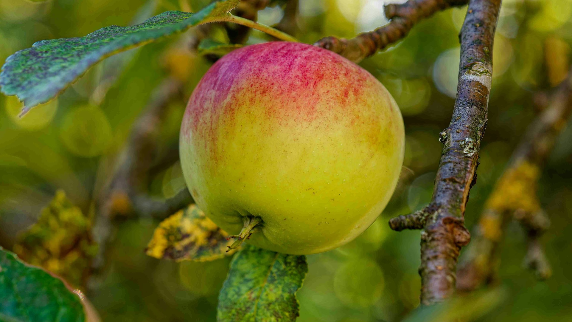 Miért nem értjük a gyerekeket?